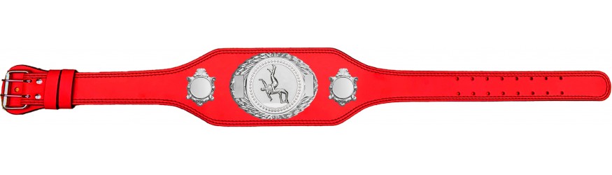 WRESTLING CHAMPIONSHIP BELT-BUD295/S/WRESTS-4 COLOURS